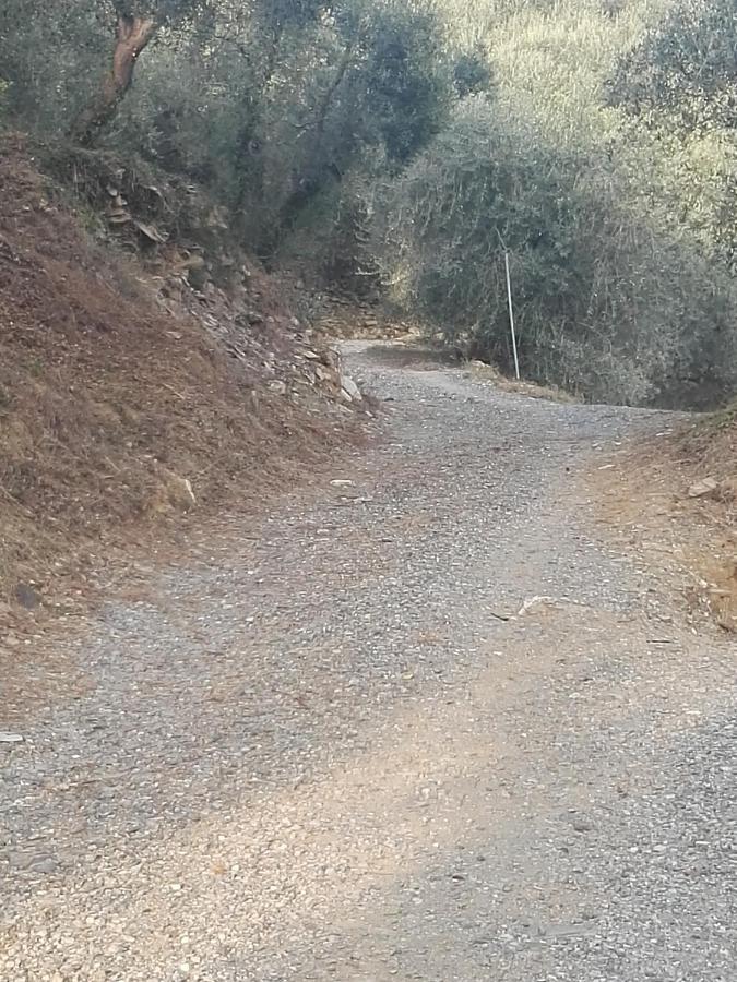 Terre Di Garlenda Casa de hóspedes Exterior foto