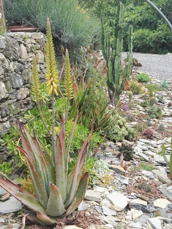 Terre Di Garlenda Casa de hóspedes Exterior foto