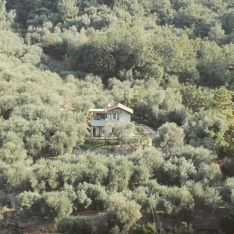 Terre Di Garlenda Casa de hóspedes Exterior foto
